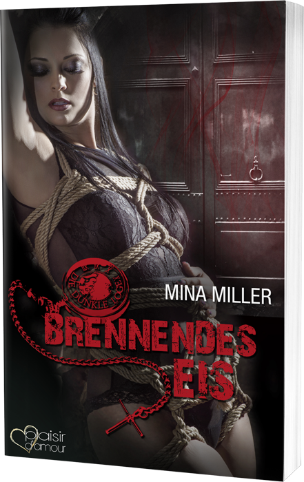 Buchcover von:  Brennendes Eis